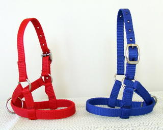 Lamb halter