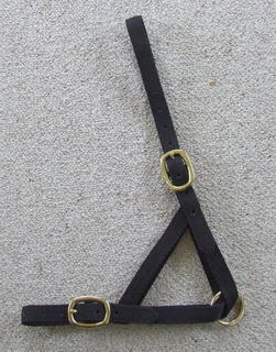 Halter - Yearling Tethering  - Brass Fittings